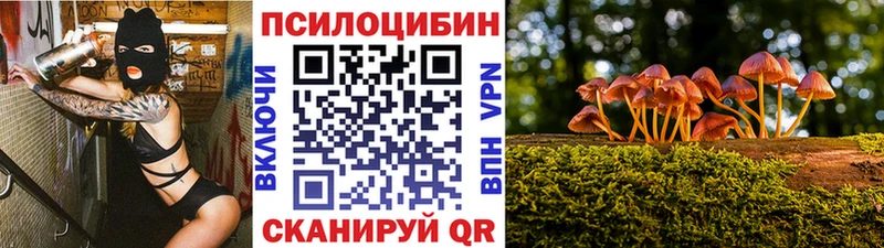 Псилоцибиновые грибы GOLDEN TEACHER  где купить наркоту  Навашино 